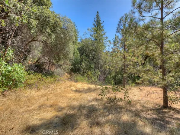 8700 Oro Quincy Hwy, Berry Creek, CA 95916