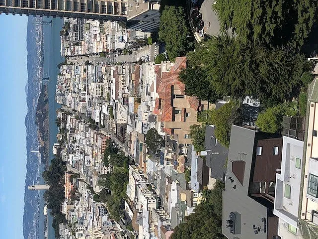 1000 Green — Photo 3