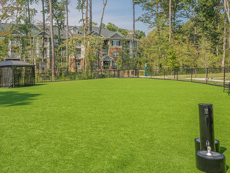 The Reserve at Rivington Townhome Rentals — Photo 42