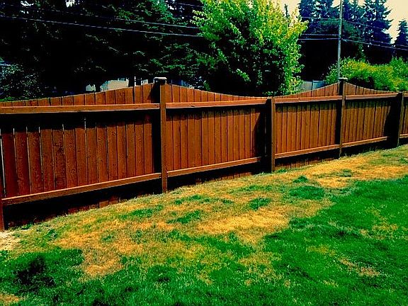 FULLY FENCED BACK YARD