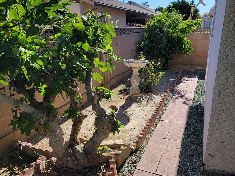 1171 Sandlewood Dr — Photo 37