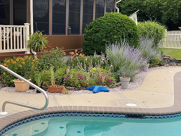 Pool and landscaping.
