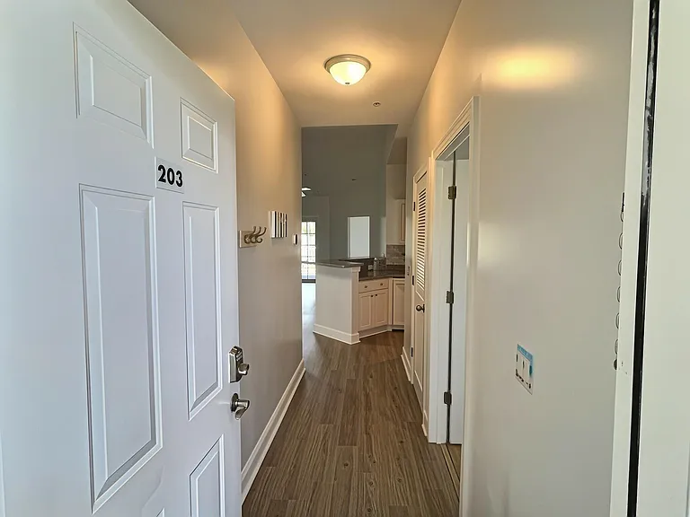 4933 Crab Pond Ct #4-203 — Photo 3