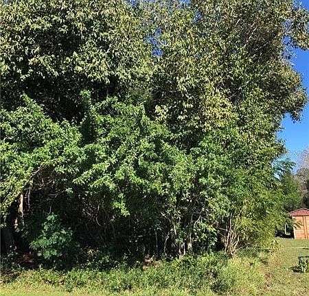 3rd image of 28276 Pasadena Dr