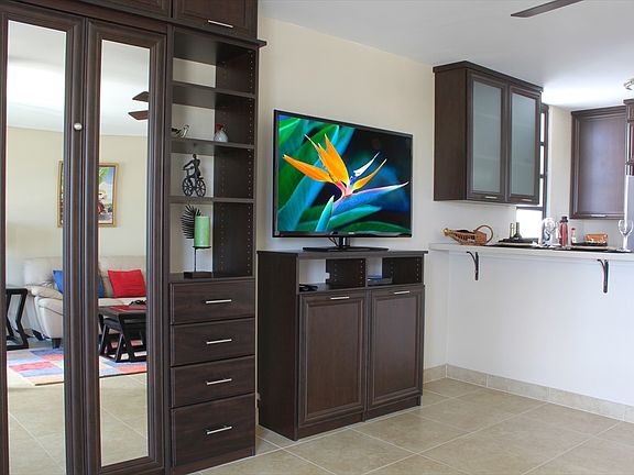 Custom cabinetry & Video sys