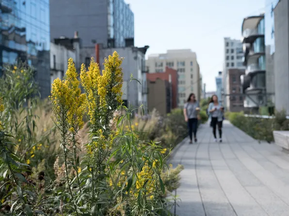 411 West 35th Street image 13 of 15