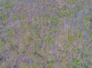 Ritz View Dr, Blaine, TN 37709