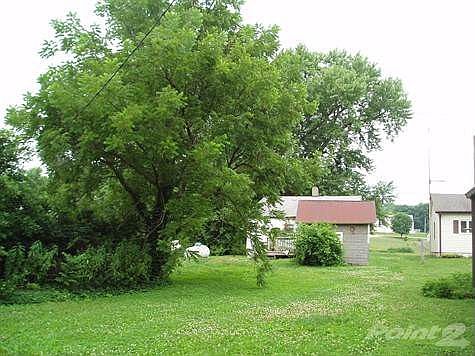 Back Yard and Garage