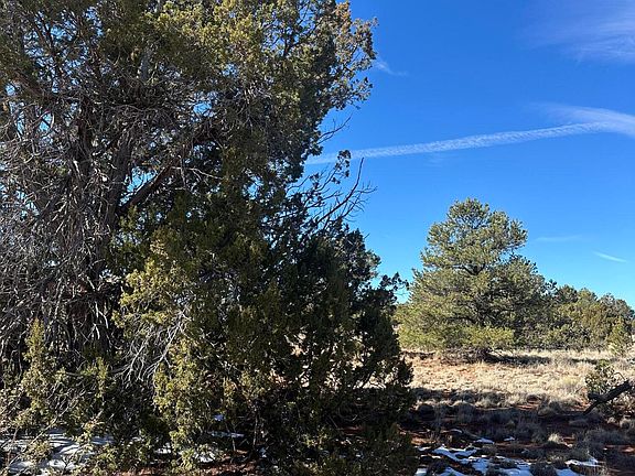 4th image of 2816 S Spruce Rd