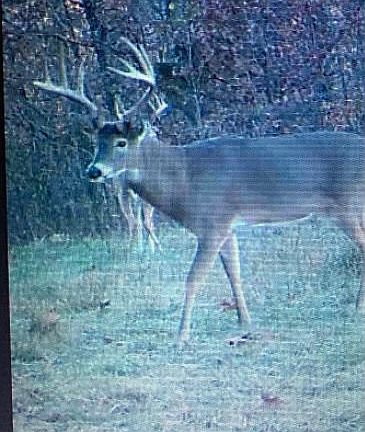 5th image of 82 Piper Dr