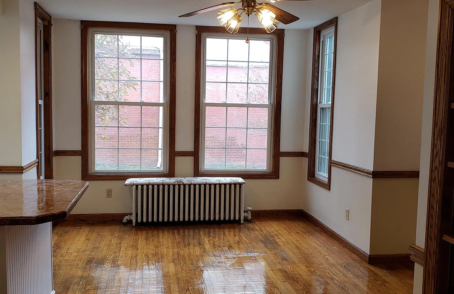 1 bed, 900 sqft, $800 — Photo 1