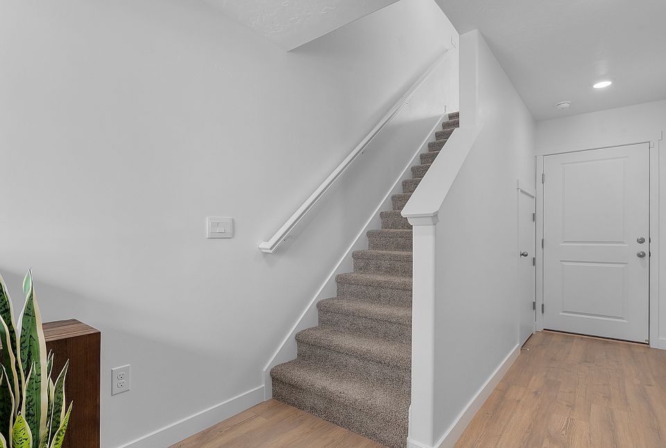 Elevation Image 3.