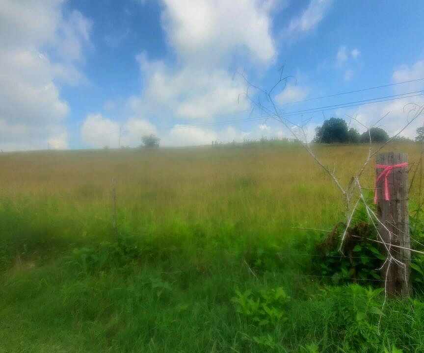 2nd image of 1557 Cave Springs Rd