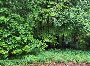 372 Emerald Springs Ln, Ellijay, GA 30540