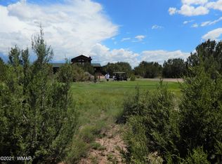 8366 Lake View Dr, Show Low, AZ 85901