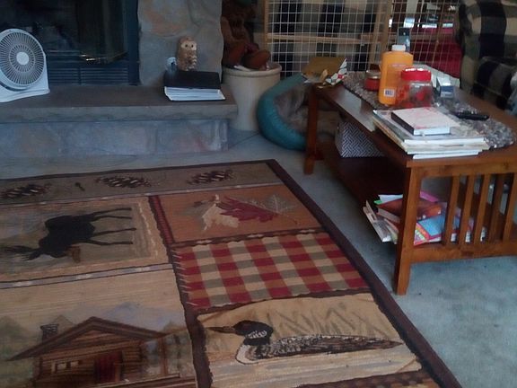 GAS FIREPLACE IN LIVING ROOM