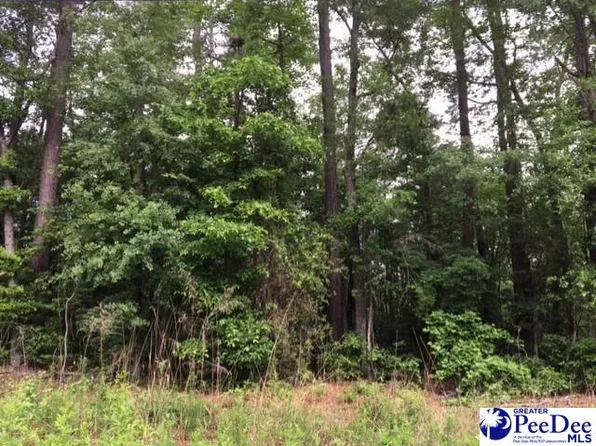 Birch Dr, Hartsville, SC 29550