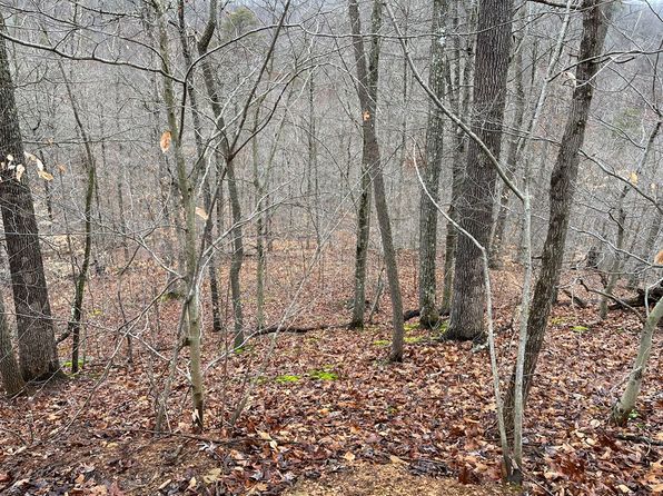RT 64 Braden Hill Rd., Alma, WV 26320