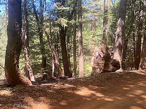 2nd image of 15052 Red Hill Spring Rd #140