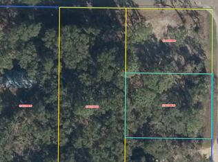 16850 NW 80th Ave, Fanning Springs, FL 32693