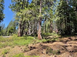 1474 Moran Rd, Arnold, CA 95223