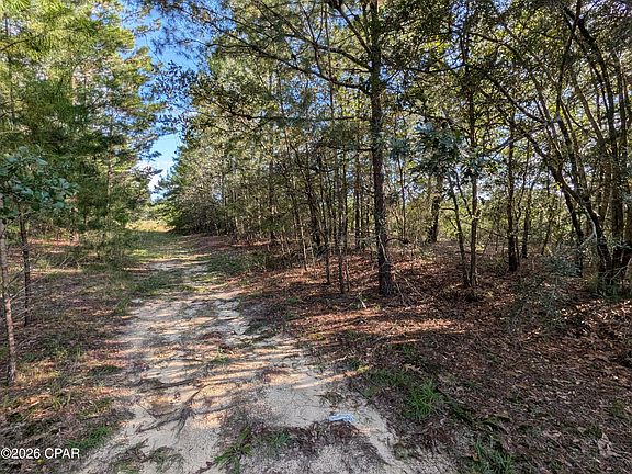 4th image of Willow Bend Dr