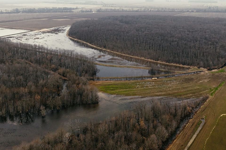 4 Please Use This One 