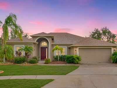 10803 Australian Pine Dr, Riverview, FL, 33579