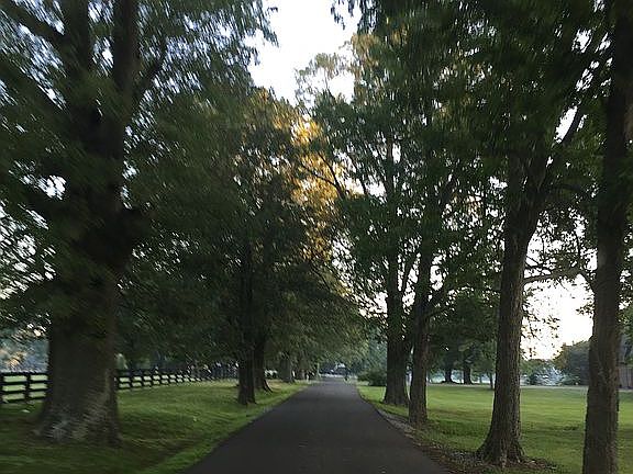 Paved North Gum Springs Road