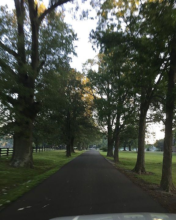 Paved North Gum Springs Road