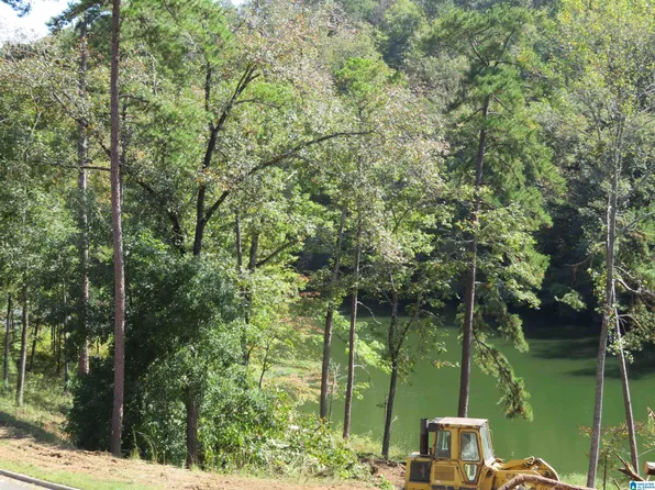 LOT 7 Preserve Cir, Rockford, AL 35136