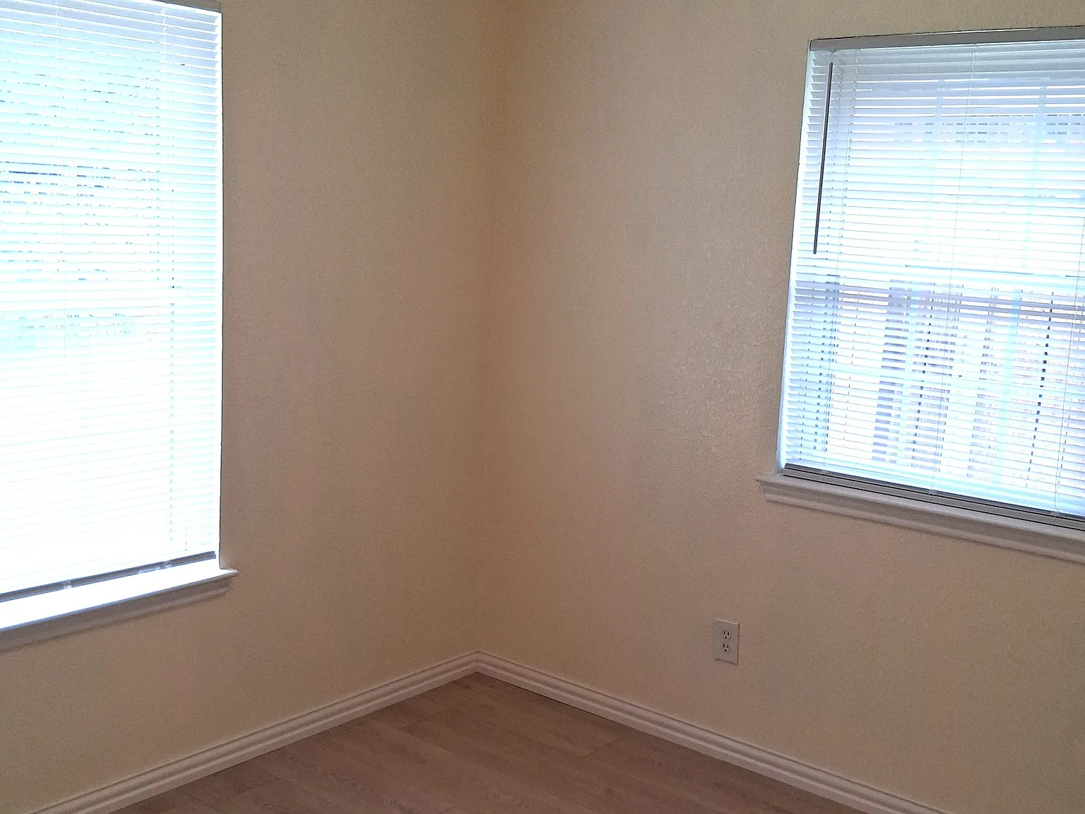 Carolyn 4102 - 1 — Photo 3