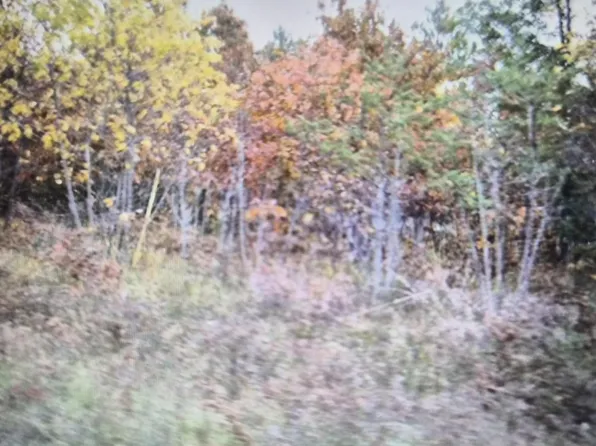 LOT 40 Northwood Dr, Grayling, MI 49738