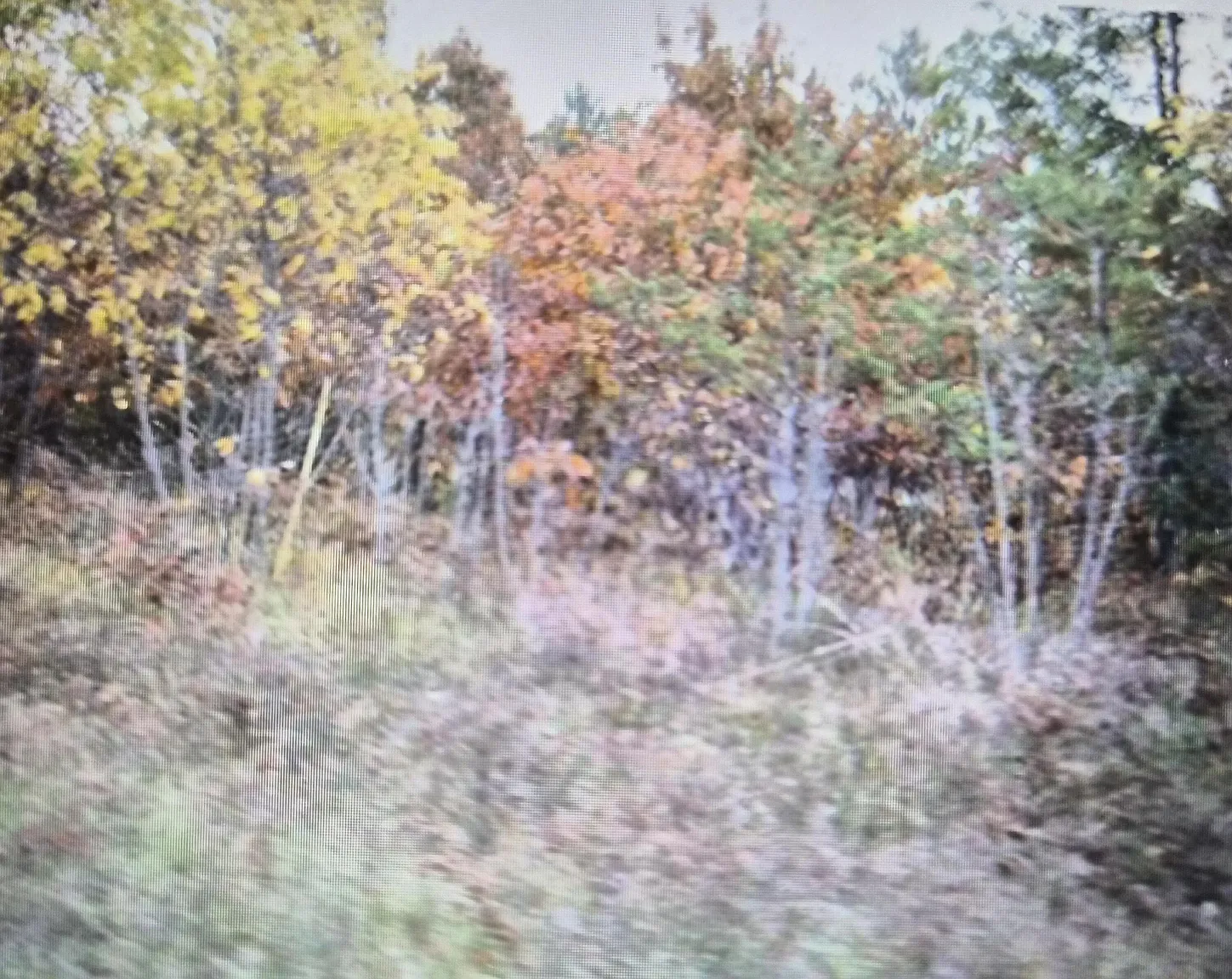 LOT 40 Northwood Dr photo 1