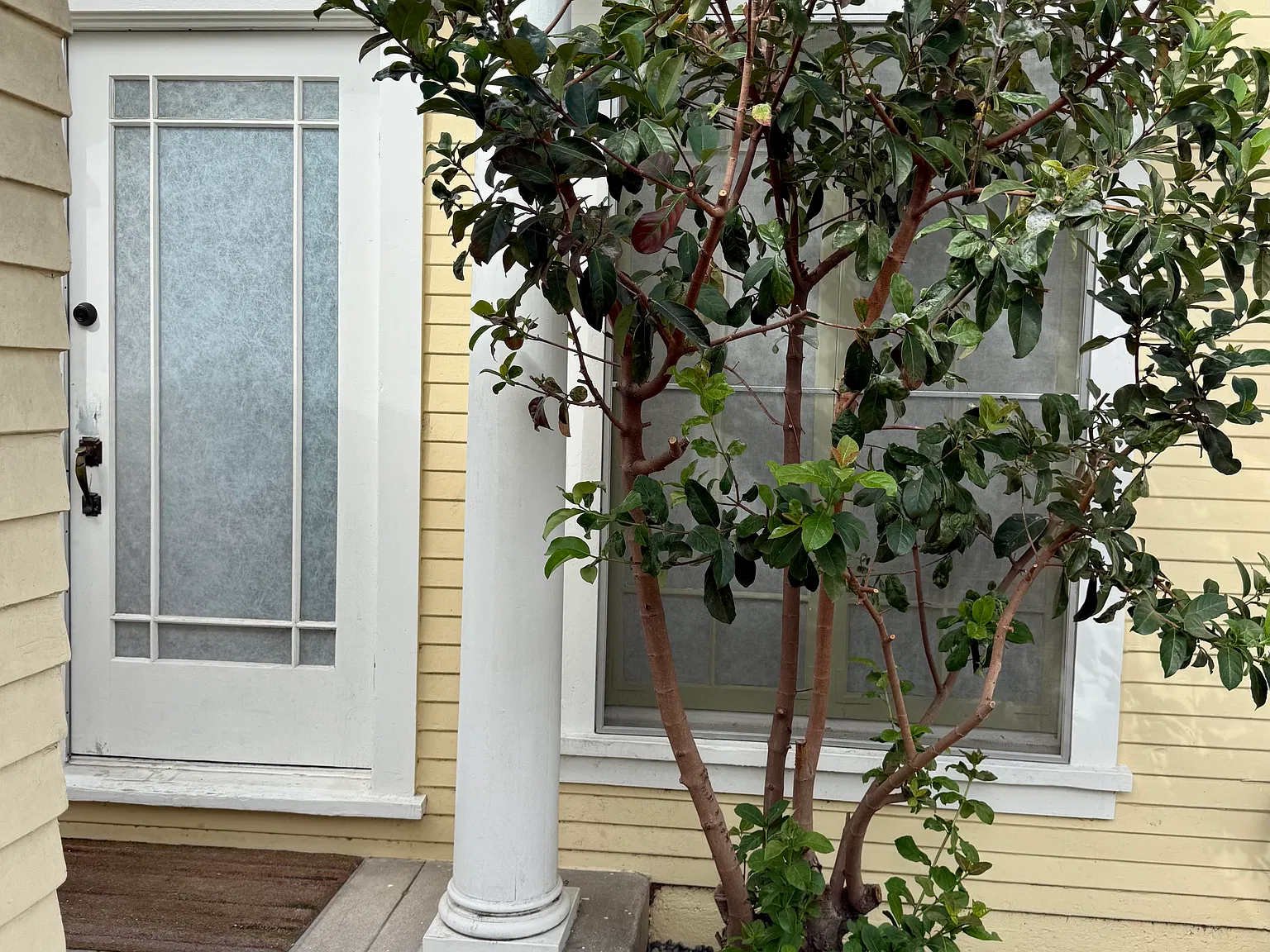 1 bed, 700 sqft, $2,295 — Photo 2