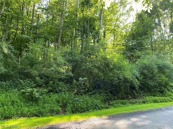 5th image of W Buckhorn Dr