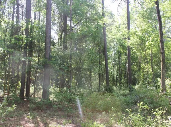 1013 Thigpen Rd, Pollok, TX 75969