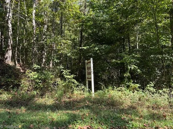 5 Arlie Myers Store Rd #5, Mc Grady, NC 28649