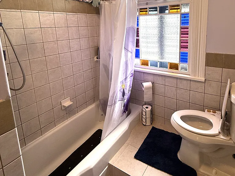 Bathroom - Toliet and Shower