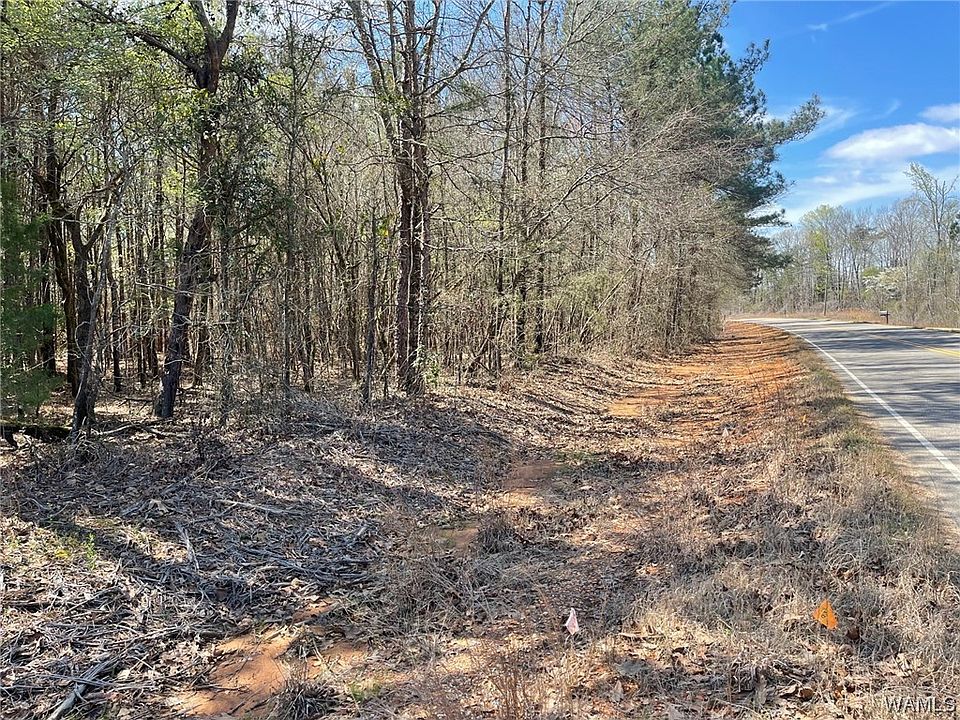 2nd image of 7 Watermelon Rd