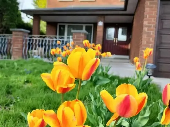 48 Cherry Hills Rd, Vaughan, ON L4K 1M4