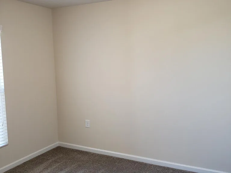1023 Laceflower Dr — Photo 11