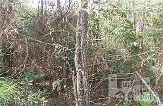 1st image of 0 Penquin Lot 376 Place