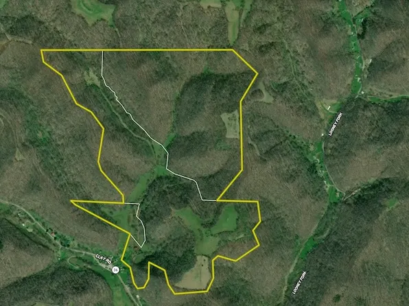 8829 Clay Rd, Left Hand, WV 25251