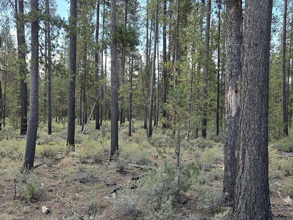 2nd image of 52650 Ranch Dr