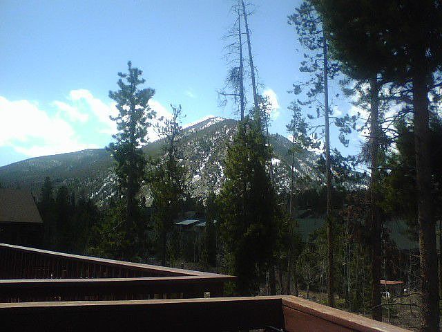 View from the back deck