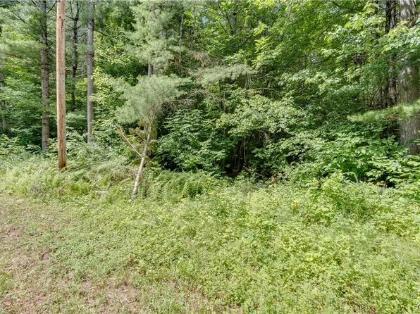 Stone Rd Lot 2, Harrisville, NY 13648