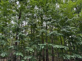 11175 Hassler Woods Trl, Alanson, MI 49706