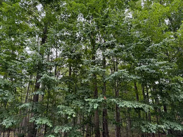 11175 Hassler Woods Trl, Alanson, MI 49706
