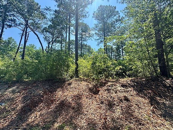 4th image of TRACT 1 Whiddon Mill Rd